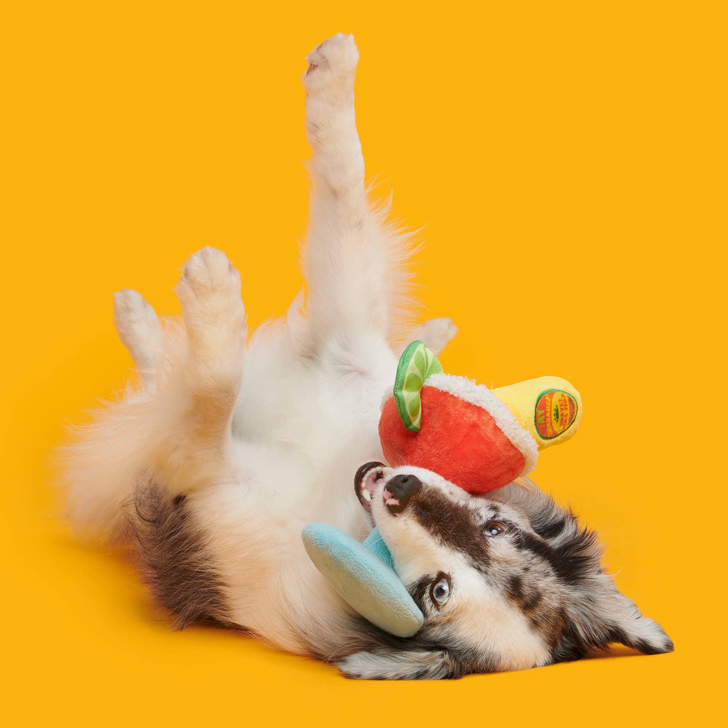 Pet Palette Distribution - Wholesale Pet Plush Toy - Dog - BARK Bulldog Barkarita Plush Dog Toy2