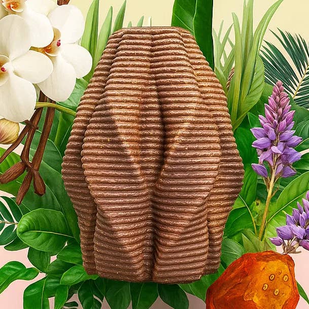 Vela Blossom, Madera Noble, Madera de Cedro para venta al por mayor de VOSK