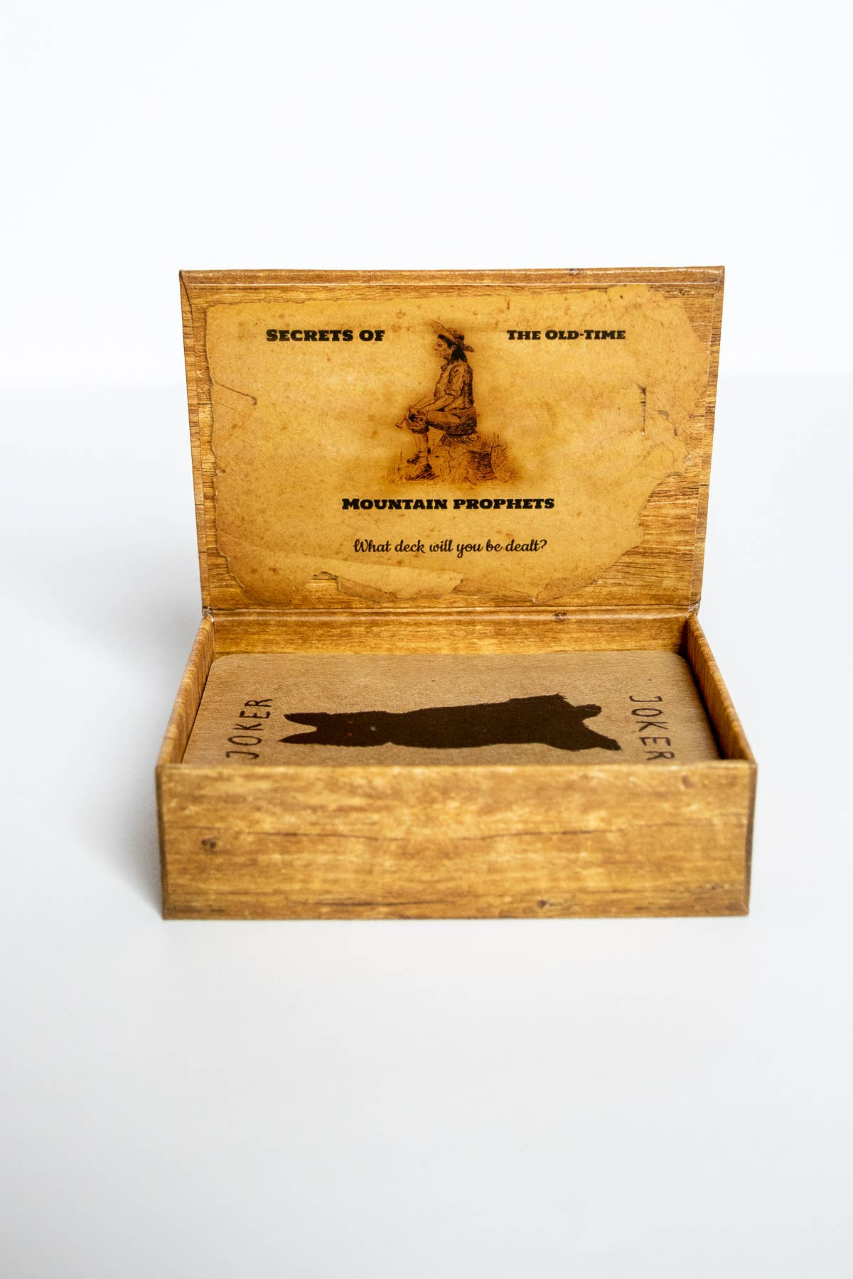 Red Wheel/Weiser LLC - Wholesale Tarot Cards - Conjure Cards: Fortune-Telling Card Deck and Guidebook6