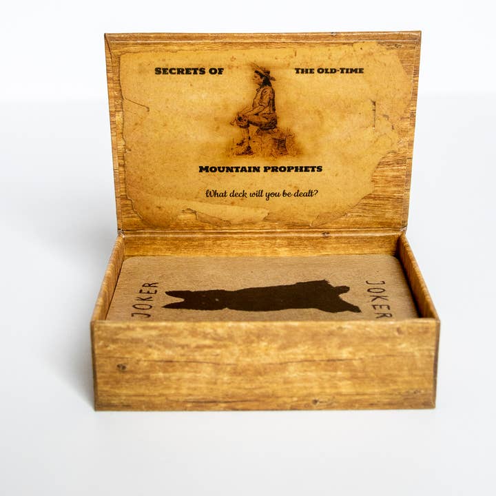 Red Wheel/Weiser LLC - Wholesale Tarot Cards - Conjure Cards: Fortune-Telling Card Deck and Guidebook6