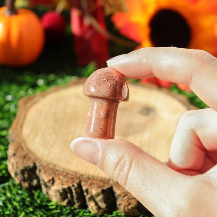 Natures Artifacts Inc - Wholesale Spiritual Stone/Crystal - Red Aventurine Mini Mushroom4