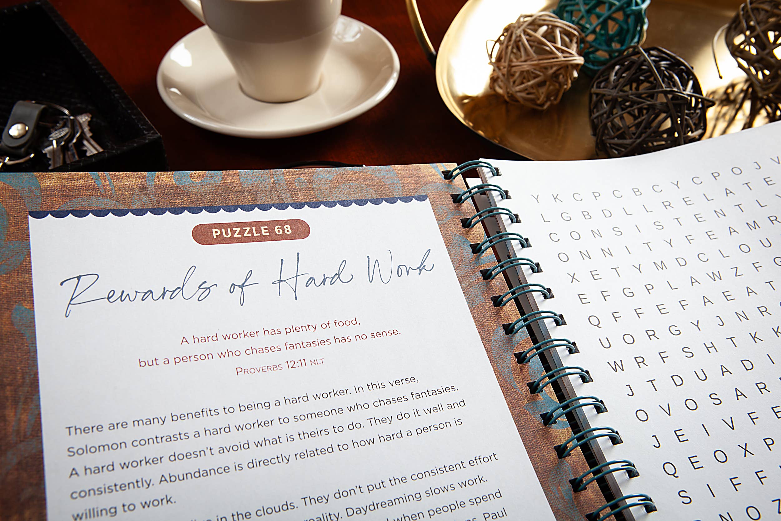 BroadStreet Publishing Group, LLC – wholesale Colouring and activity book – adult – Bible Word Search Devotional (Proverbs)2