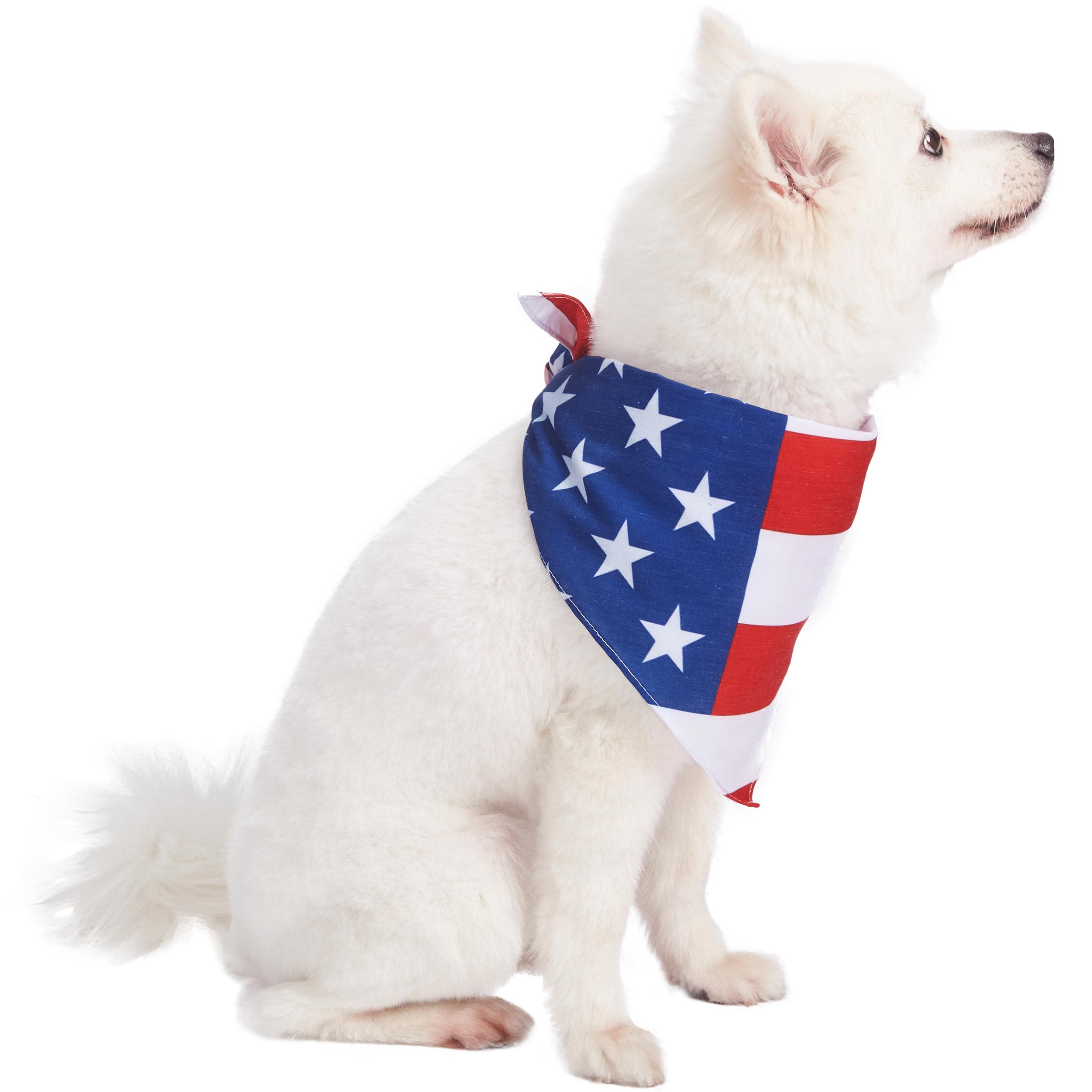 Dog Bandana, American Flag Pet Bandana for July 4th for wholesale on Faire1