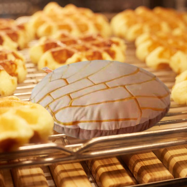 Abound Lifestyle - Wholesale Throw/Decorative Pillow - Concha Bread Decorative Throw Pillow15