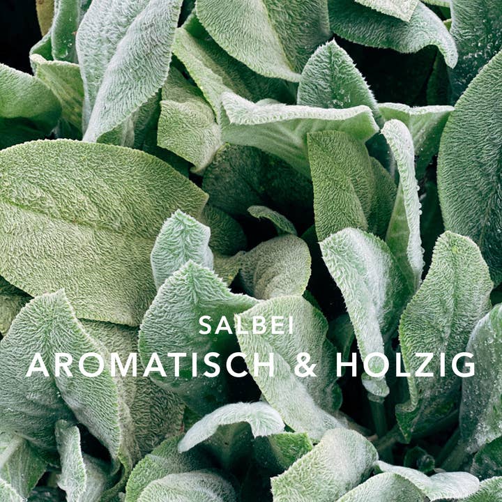 Laay - Wholesale Reed Diffuser - LAAY ROOM FRAGRANCE SAGE PRIVEE3