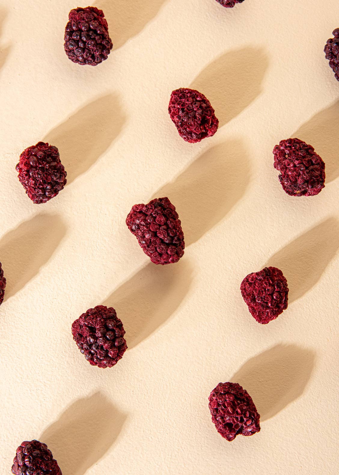 AZADA - Wholesale Dried/Dehydrated Fruit - Mora liofilizada4