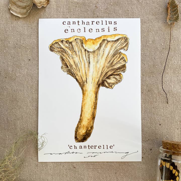 Impression 'Chanterelle' pour la vente par Madison Memering (mamemering)