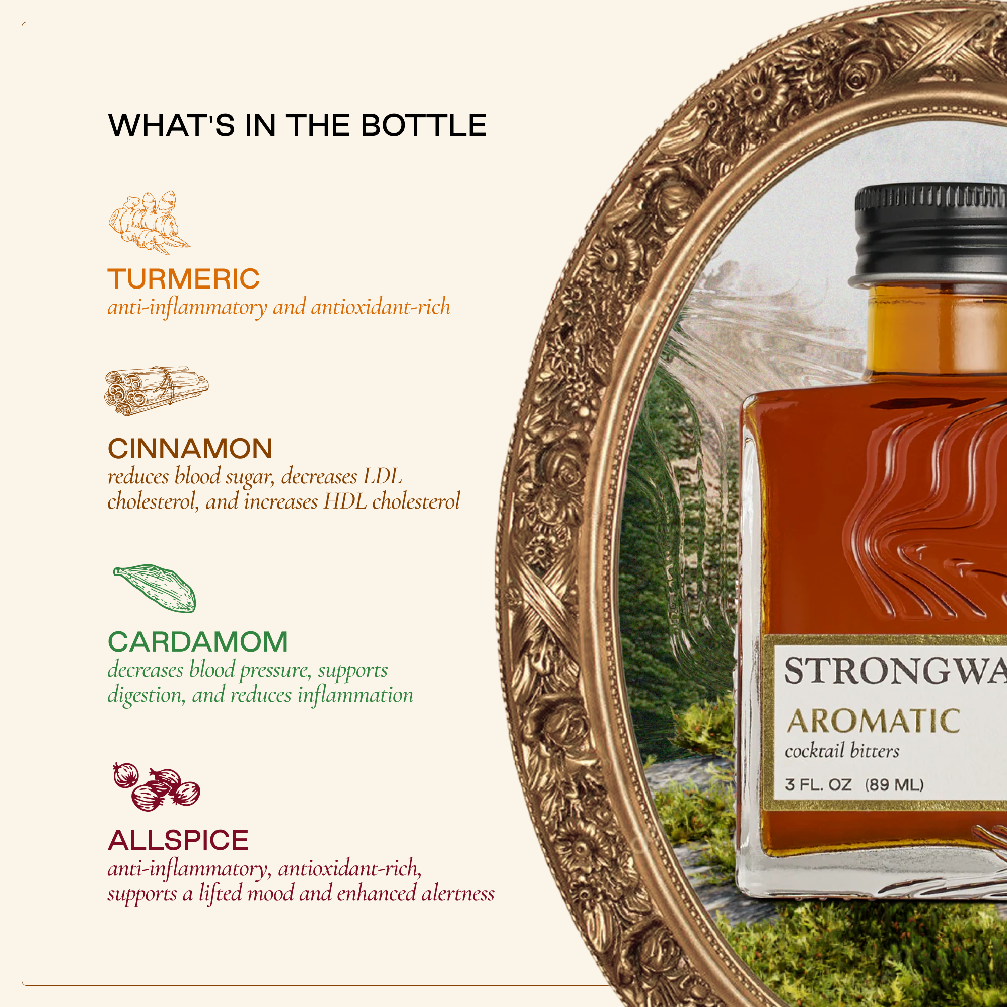 Strongwater - Wholesale Bitters - Aromatic Bitters6