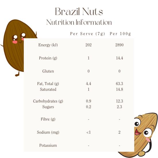 Mindful Foods - Vente Noix - Noix du Brésil, biologiques et activées, 13 kg en vrac2
