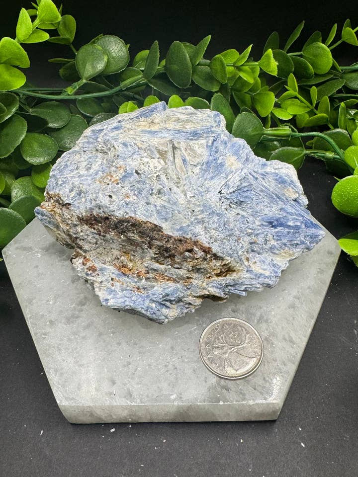 Blauwe kyanietcluster #3 voor wholesale door Moonbeam Healing