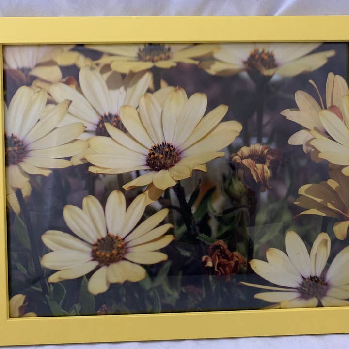 Sunrise - yellow framed wall print for wholesale by Analogy Designs