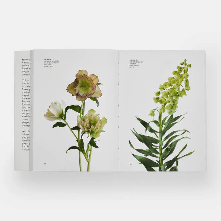 Phaidon Press - Wholesale Book - Adult - Flower Colour Guide