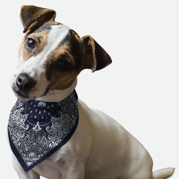 Bandoggies Breeze Pet Bandana - Grand cachemire bleu marine pour la vente par Bandoggies