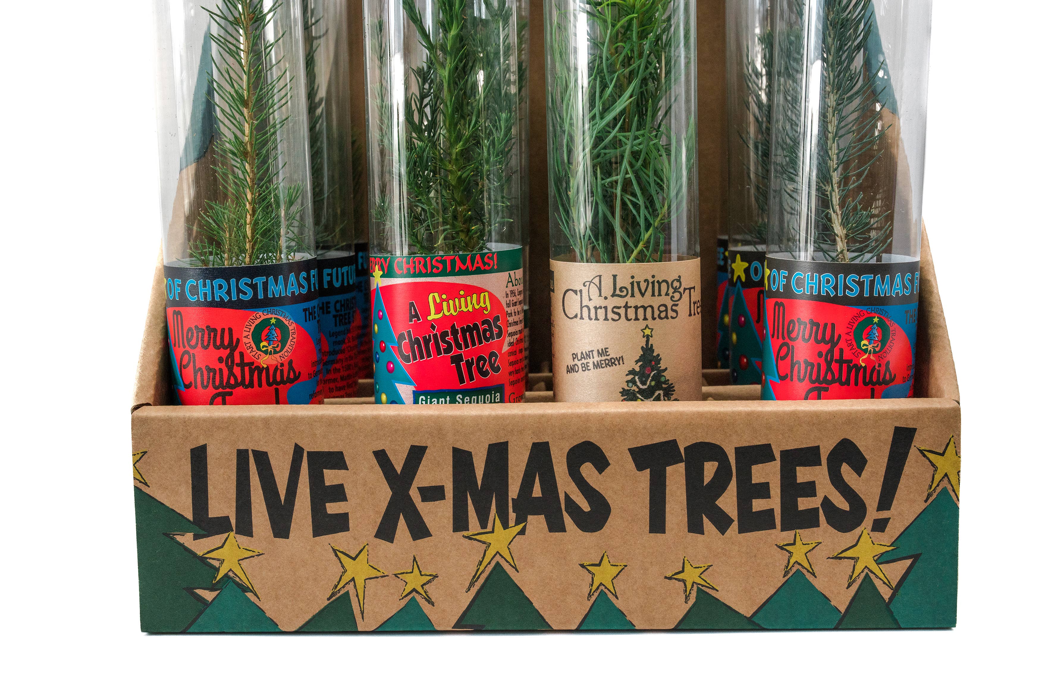 The Jonsteen Company - Vente Présentoir – maison et déco - Collection d'arbres de Noël | 12 arbres vivants avec présentoir2