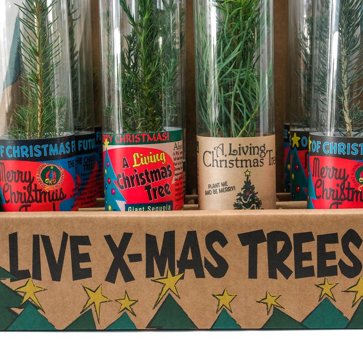 The Jonsteen Company - Wholesale Retailer Display - Home & Living - Christmas Tree Collection | 12 Live Trees w/ Display2
