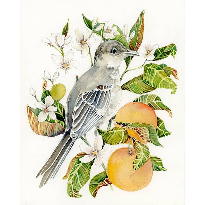 Stampa d'arte giclée su mockingbird e fiori d'arancio per la vendita all'ingrosso da parte di Sarah Rose