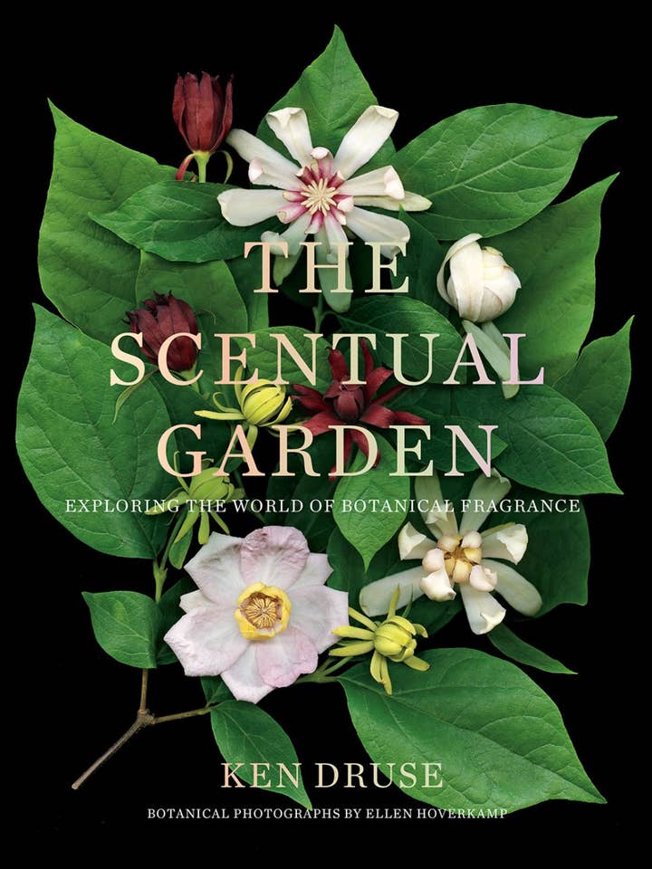 Le jardin Scentual pour la vente par Abrams