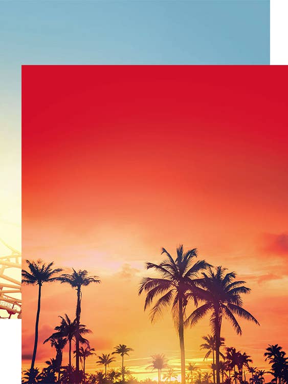 Magic Park Palms Double Sided 12"x12" Scrapbook Paper for wholesale by Paper House Productions