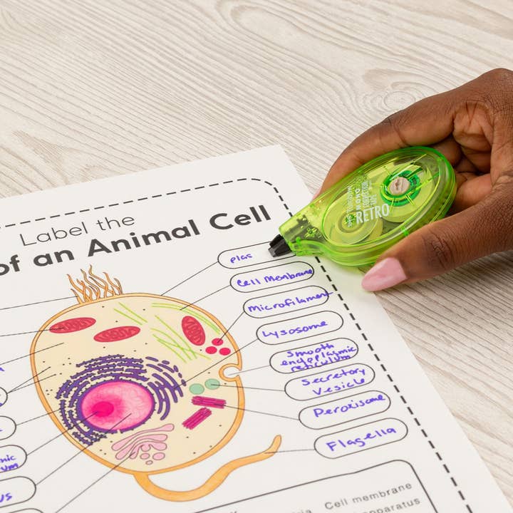 Tombow - Wholesale Tape - MONO Correction Tape, Retro, 10- Pack7