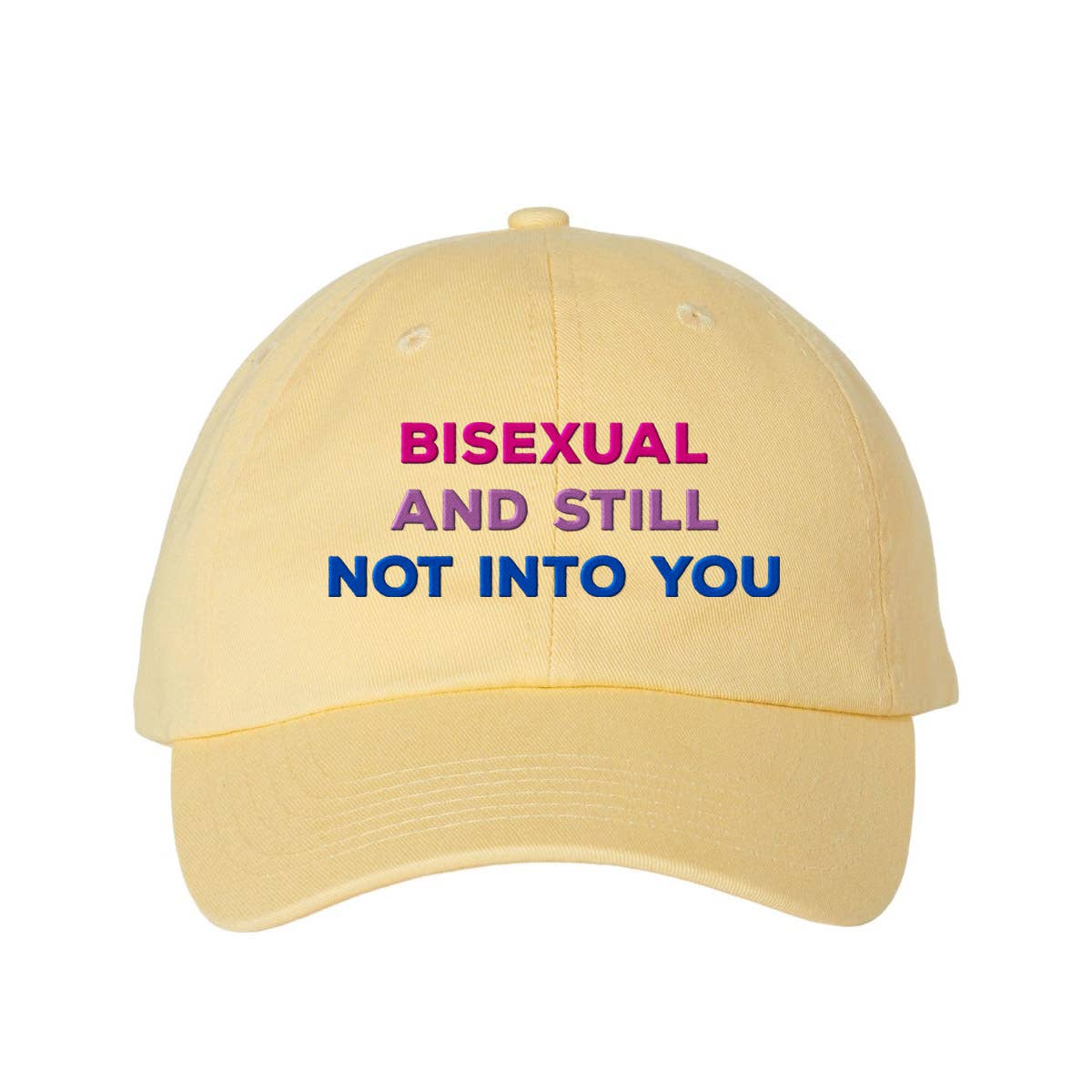 Lucky Luna Apparel - Wholesale Baseball Cap - Women's - Bisexual and Still Not Into You Embroidered Dad Hat2