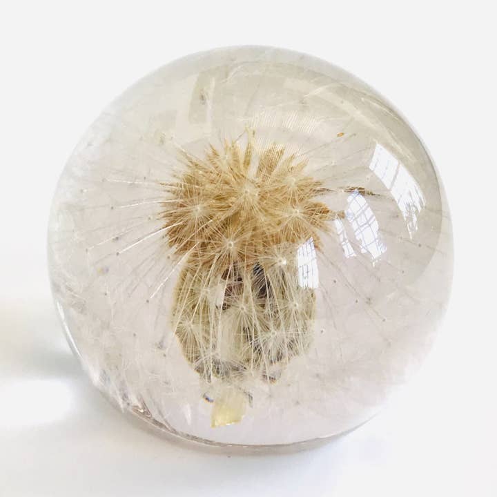 Botanisk SML Orb mælkebøtte papirvægt for engroshandel hos Belart Fair Trade