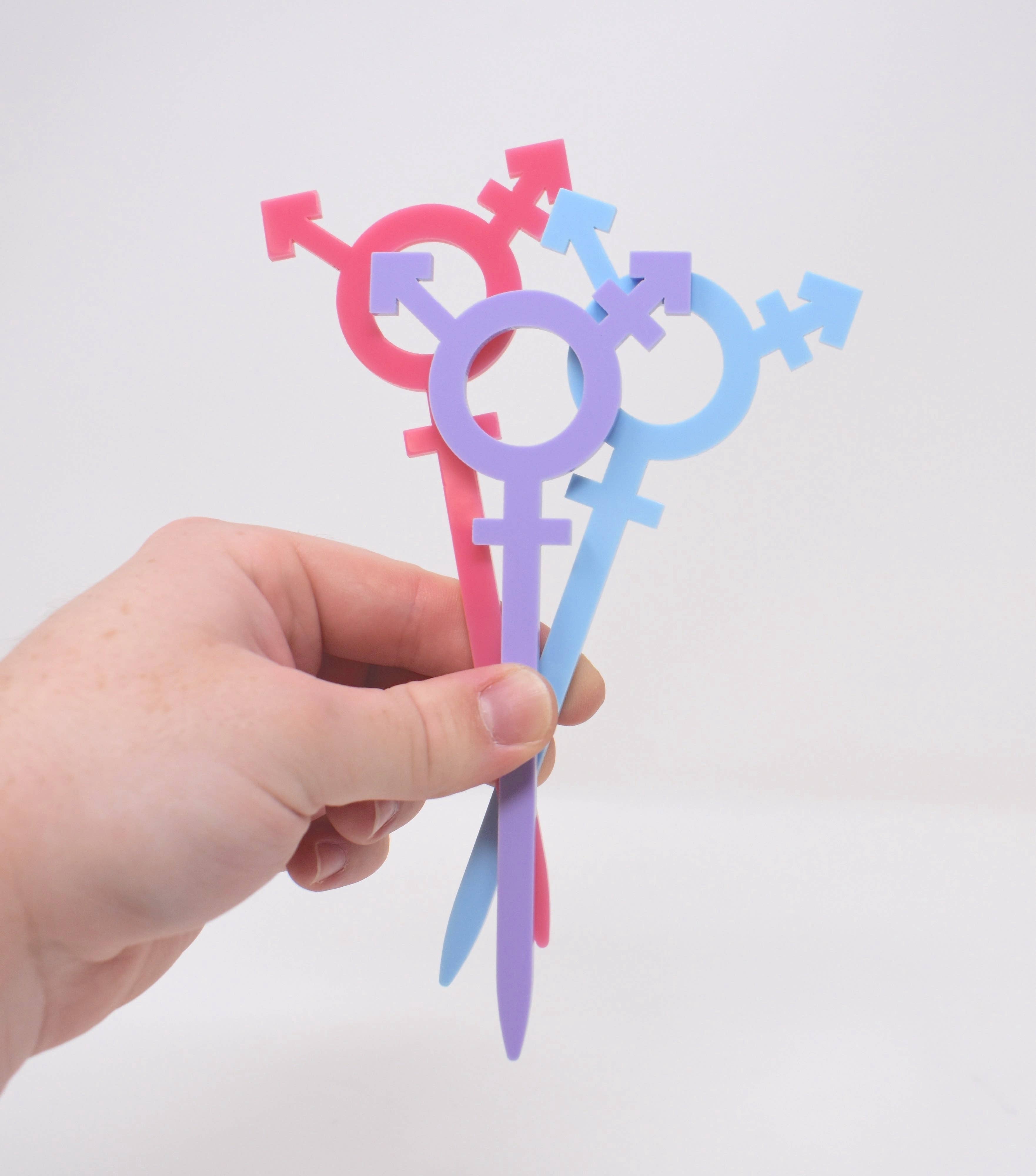 Morganite Press - Wholesale Plant Pot Stand - Transgender Symbol Plant Stake4