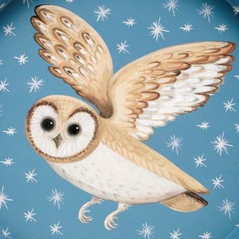 Tin Treats – wholesale Serving tray – Dog & Dome - Deep well Tin Tray
2