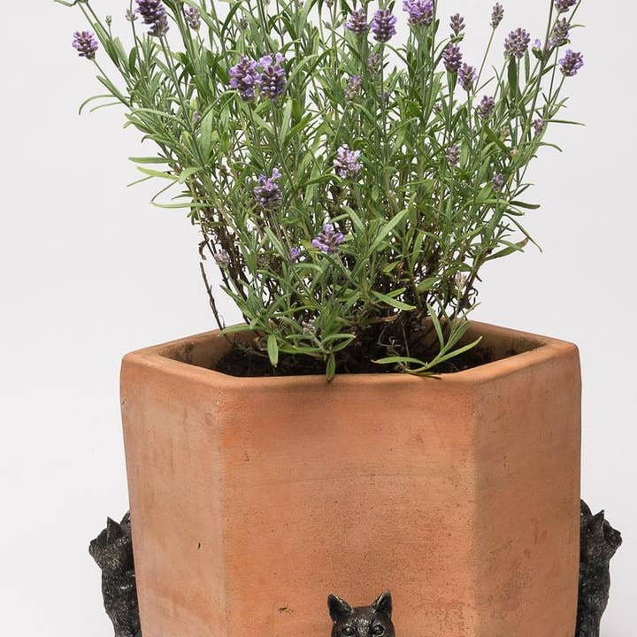 Jardinopia US - Wholesale Plant Pot - Sitting Cat Plant Pot Feet - Set of 3