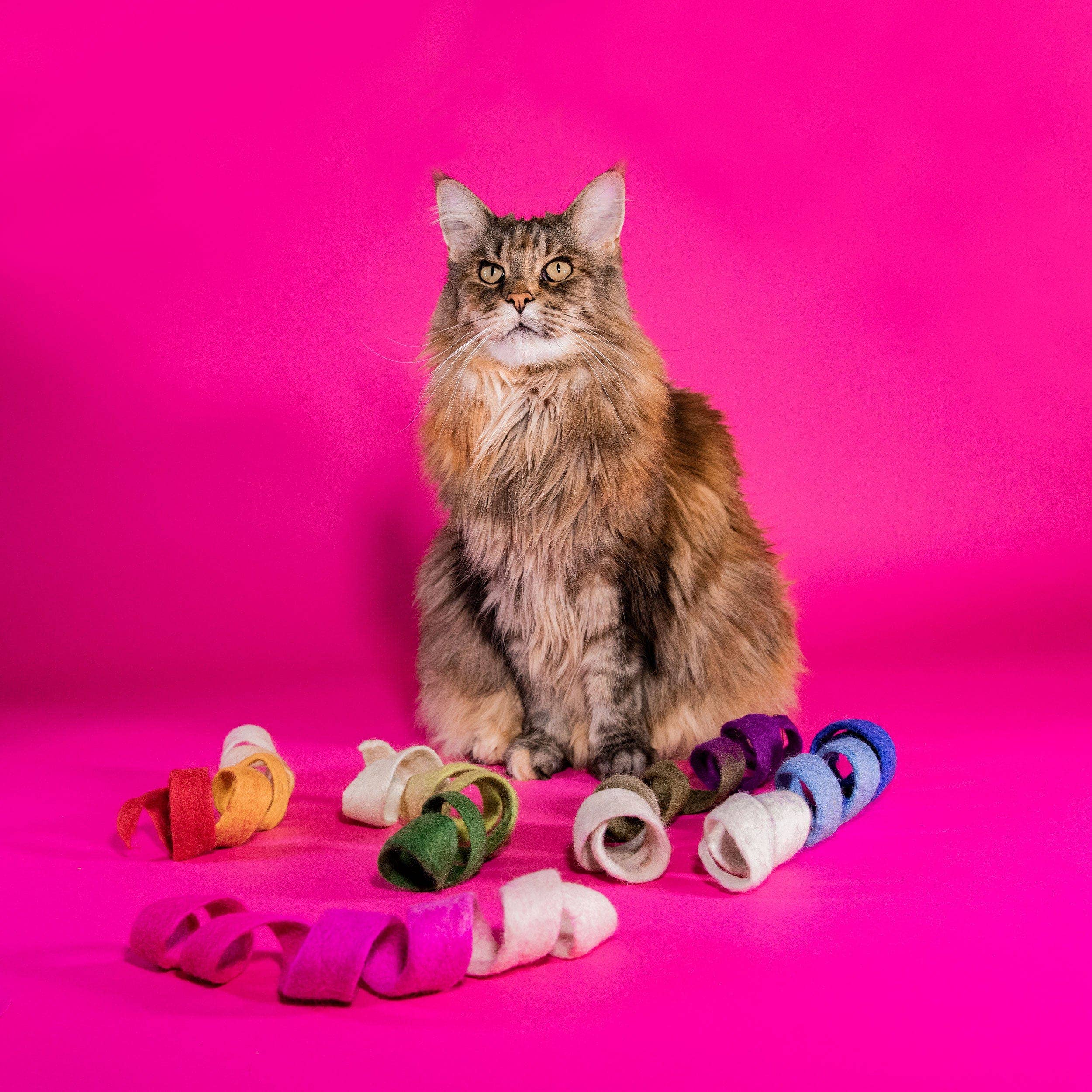 Mimi’s Daughters - Wholesale Pet Toy - Cat - Spinny Spiral - Felt Cat Toy2