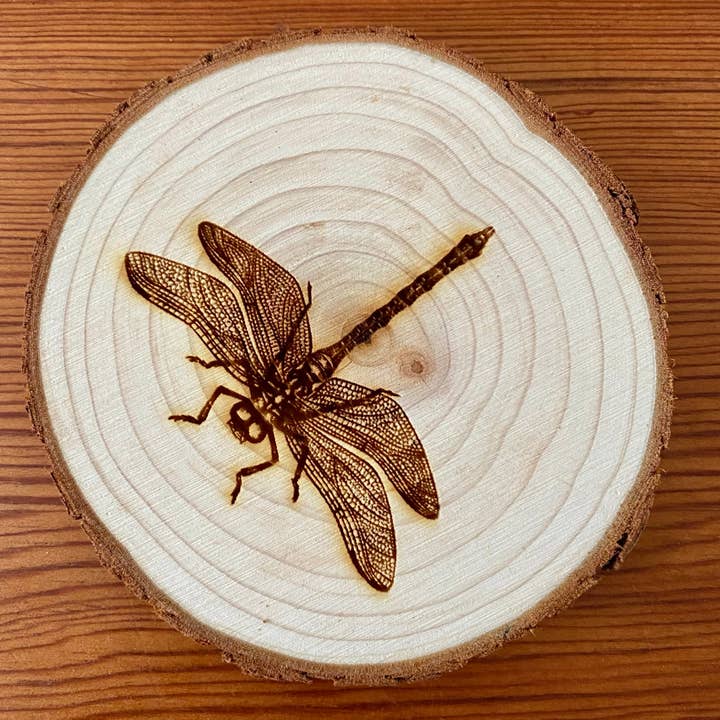 Munsell Made - Wholesale Coasters - Engraved Wood Dragonfly Coasters2