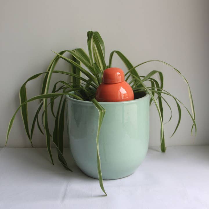 Poterie lutton - Wholesale Plant Pot - Ollas Flavor11