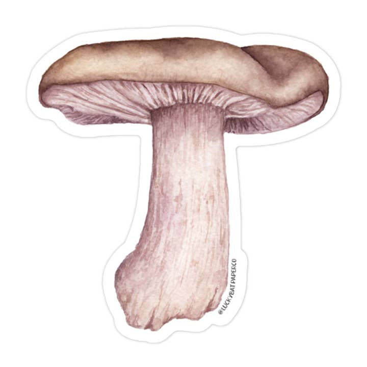 Autocolante de Cogumelos Madeira Blewit por atacado de Lucky Bat Paper Co.