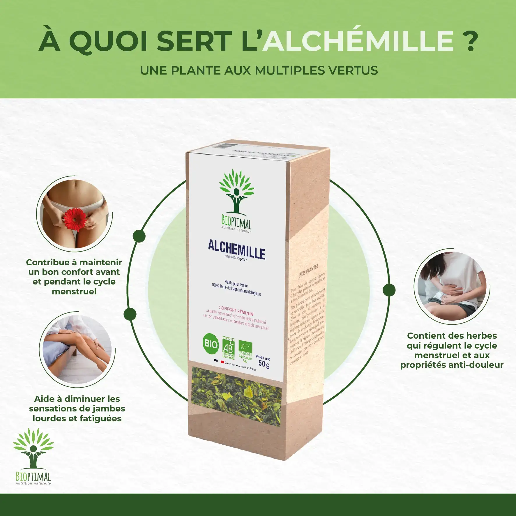 Bioptimal - Wholesale Health/Detox Tea - Alchemilla Plant for organic herbal tea 50g1