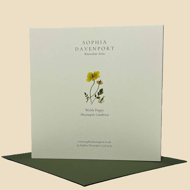 Sophia Davenport - Wholesale Everyday Greeting Card - Wildflower Greeting Cards and Notelets51