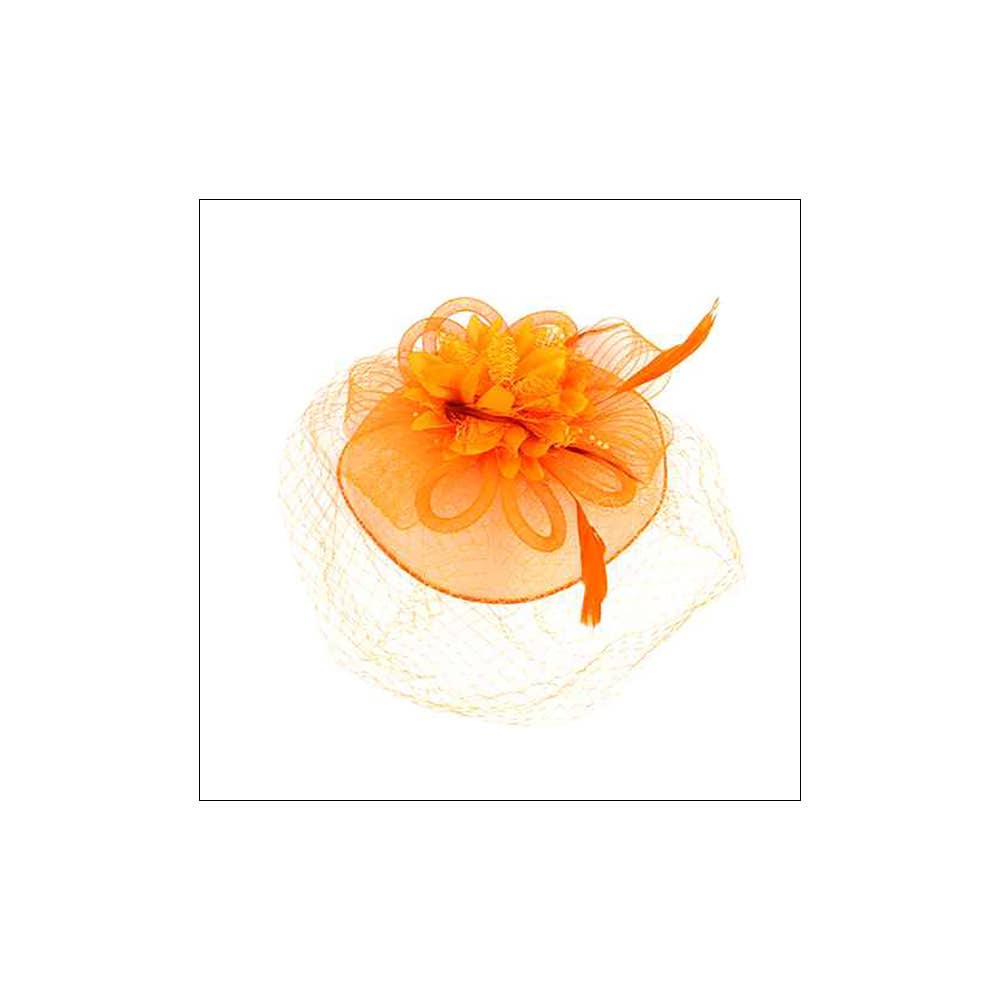 Sensibling Corp. - Wholesale Fascinator Hat - Women's - Bow Flower Feather Mesh Fascinator / Headband1