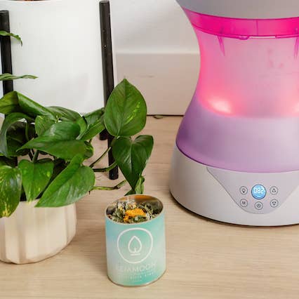 LEIAMOON – wholesale Loose tea – LEIAMOON Restorative V-Steam Herb Blend3