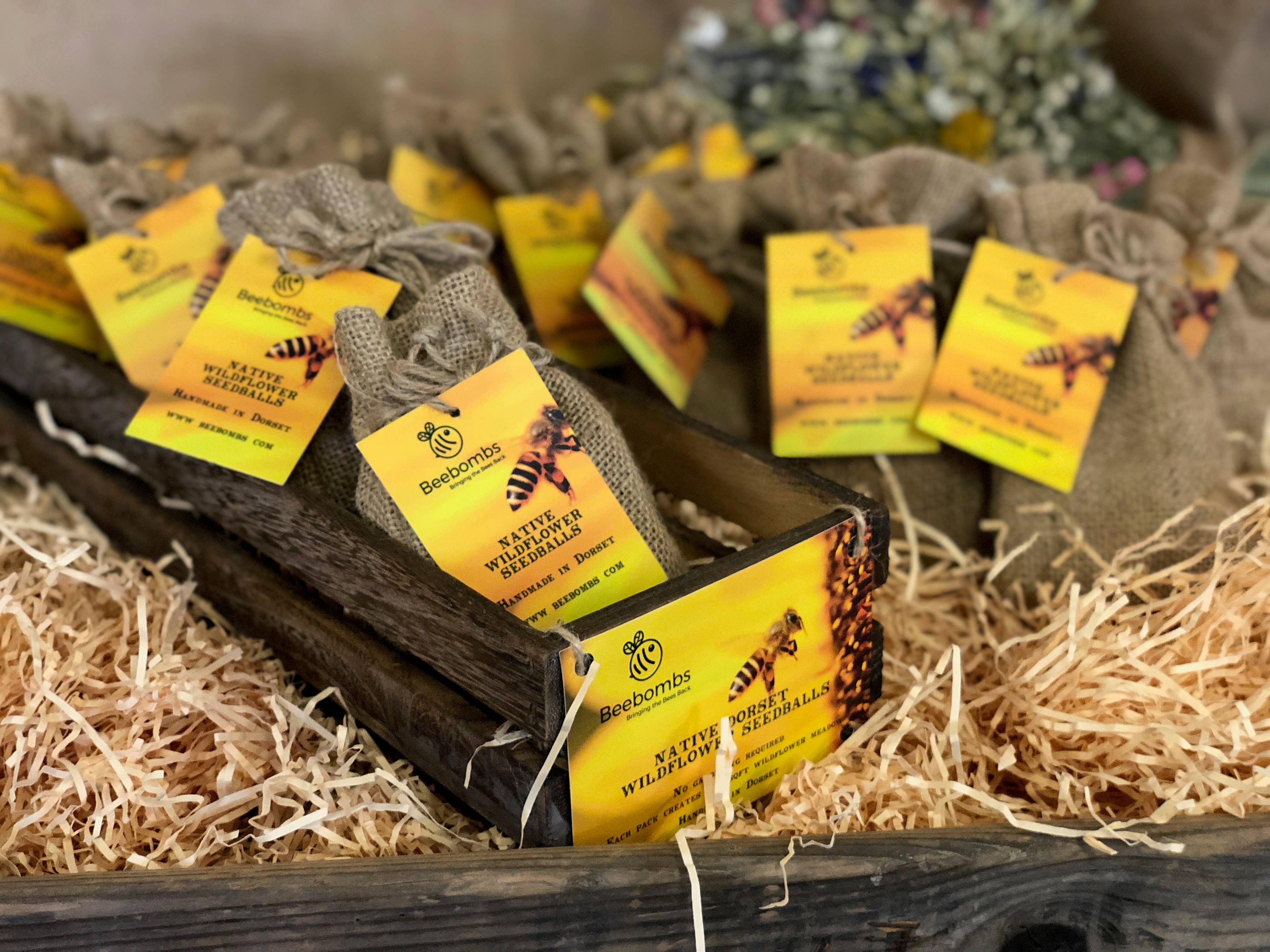 Beebombs - Wholesale Plant Seeds - Wildflower Beebombs 20-49 units1