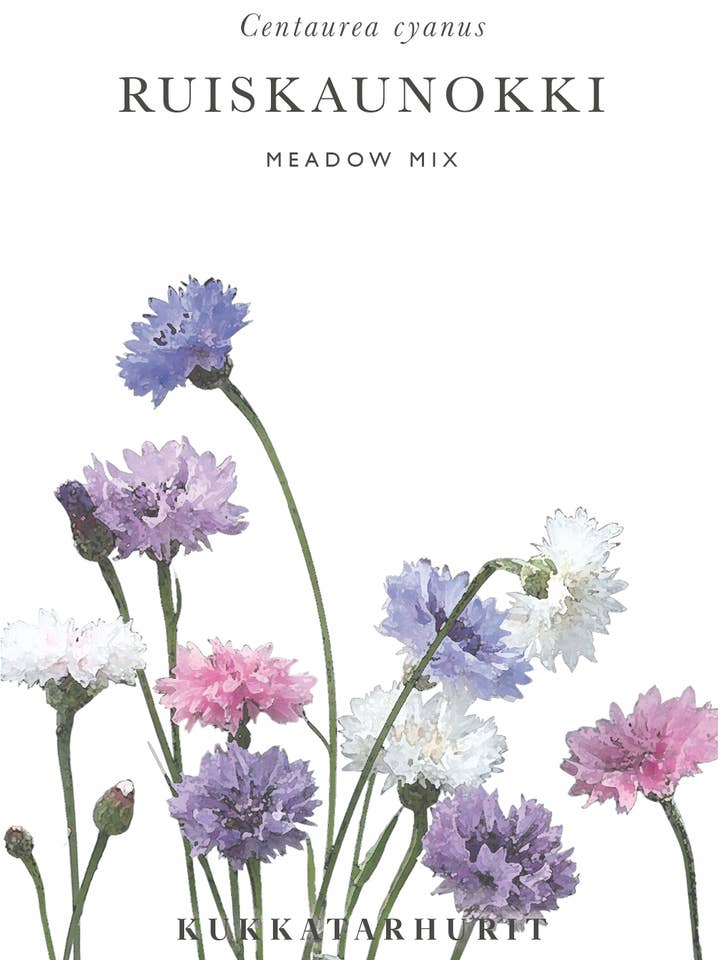 Ruiskaunokki Meadow Mix voor wholesale door Kukkatarhurit