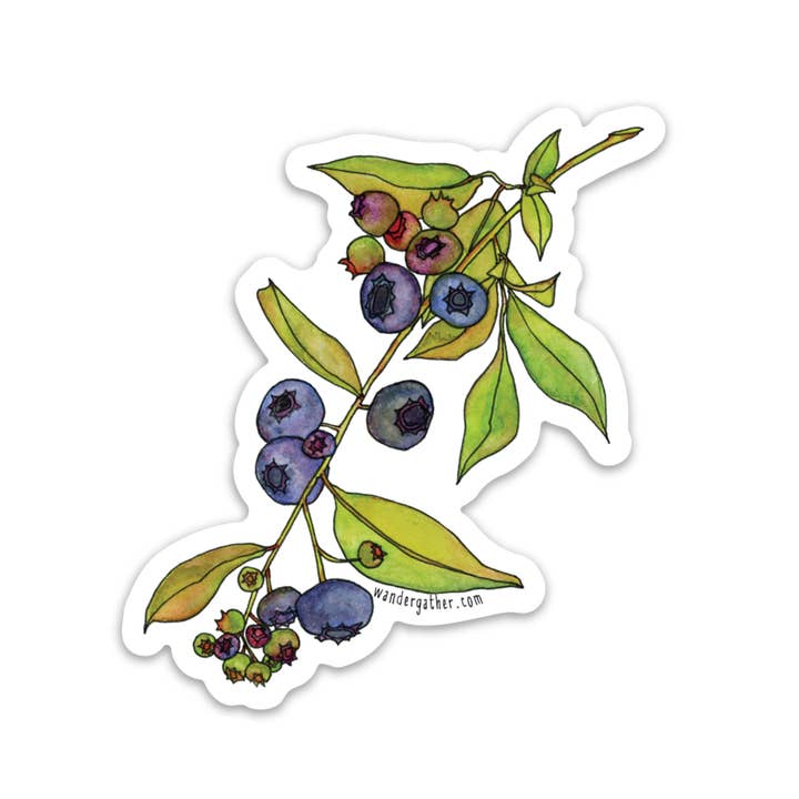 Highbush Blueberry Native Plant Waterproof Sticker for wholesale by Wander & Gather
