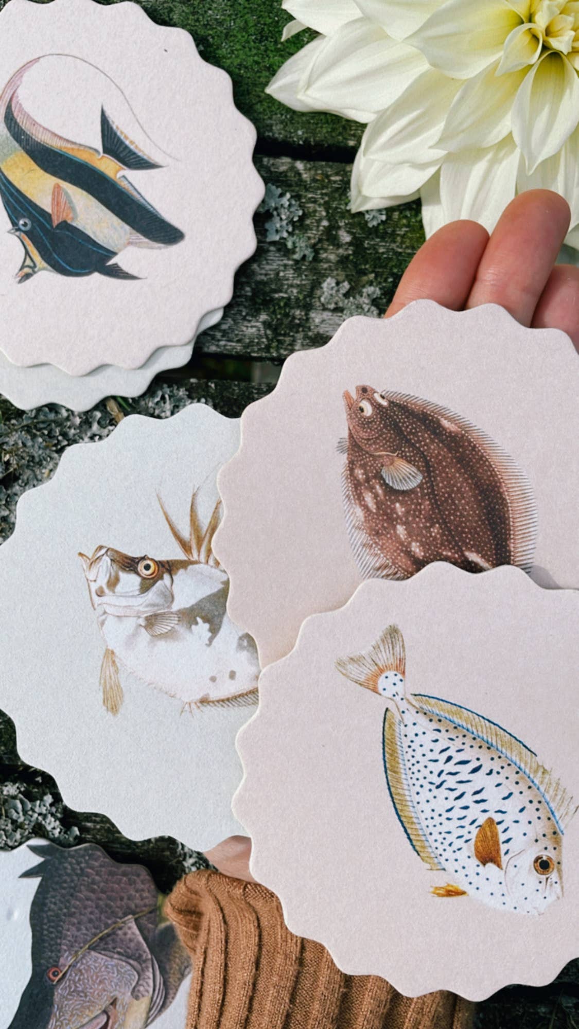 30x40 - Wholesale Coasters - Coaster Set Fish 🐠🐟🐡 12