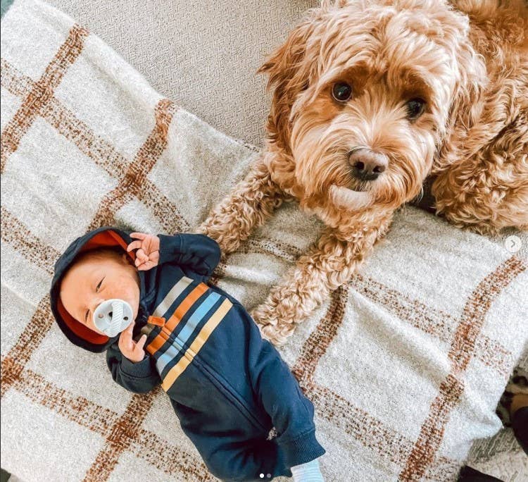 Itzy Ritzy - Wholesale Pacifier - Baby - *NEW SIZE* Sweetie Soother™ Pacifier Sets (2-pack)24