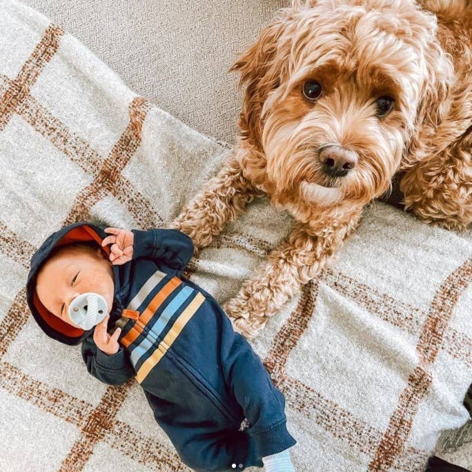 Itzy Ritzy - Wholesale Pacifier - Baby - *NEW SIZE* Sweetie Soother™ Pacifier Sets (2-pack)24