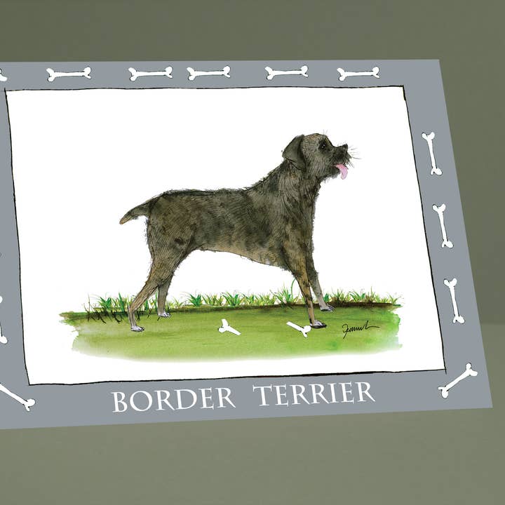 Border Terrier greeting cards (pack of 6) for wholesale by Tony Fernandes Design
