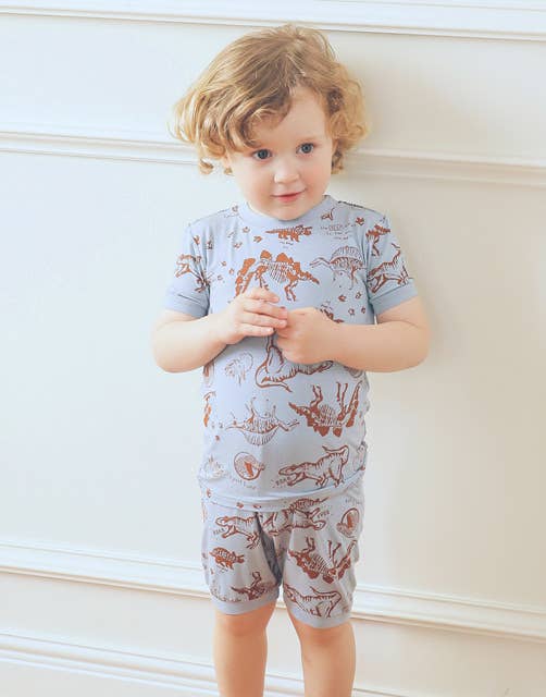 Blue Grey Dinosaur Museum Viscose Short Sleeve PJs for wholesale on Faire4