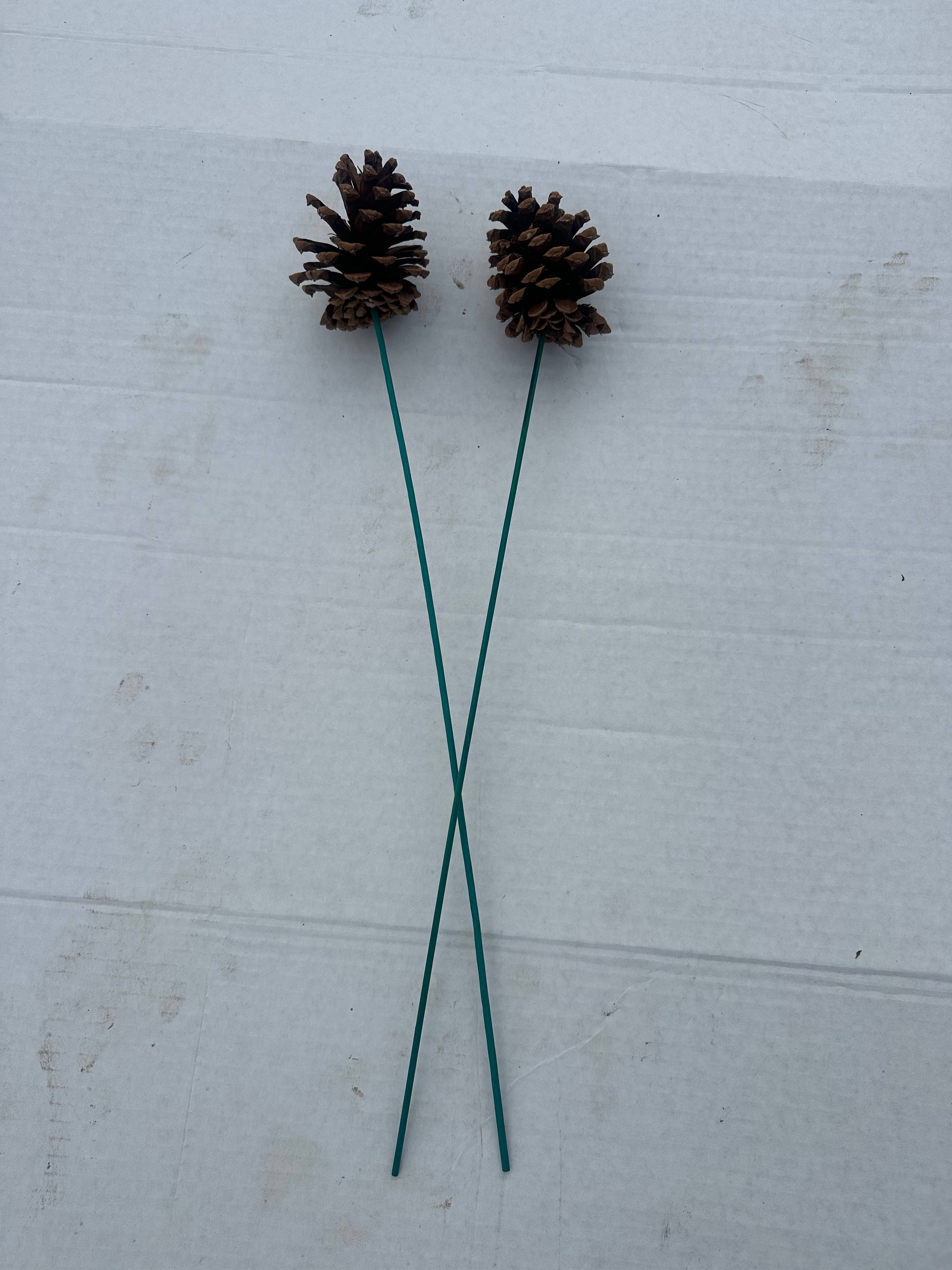 Holiday Forest  Products – wholesale Juldekoration – Ponderosatallkotte2