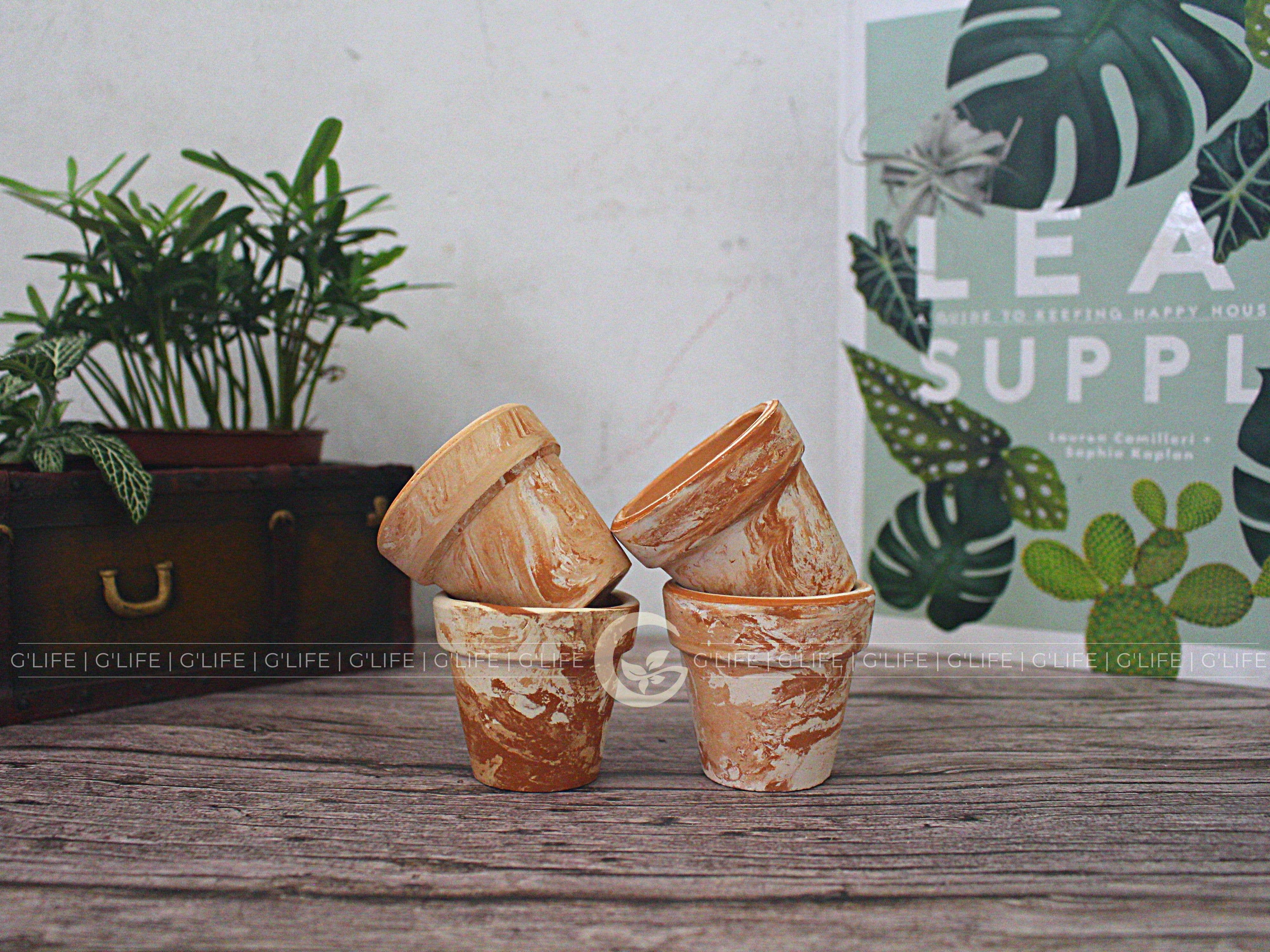 GLifee - Wholesale Plant Pot - 2" Tiny Terracotta Clay Plant Flower Pot - Drainage Hole26