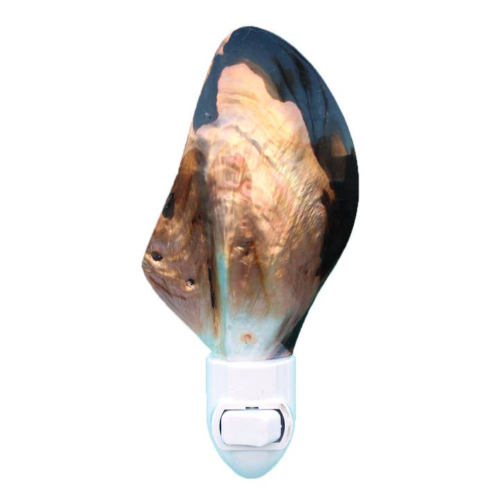 Brown Lip Mother of Pearl Seashell Night Light for wholesale by California Seashell Company