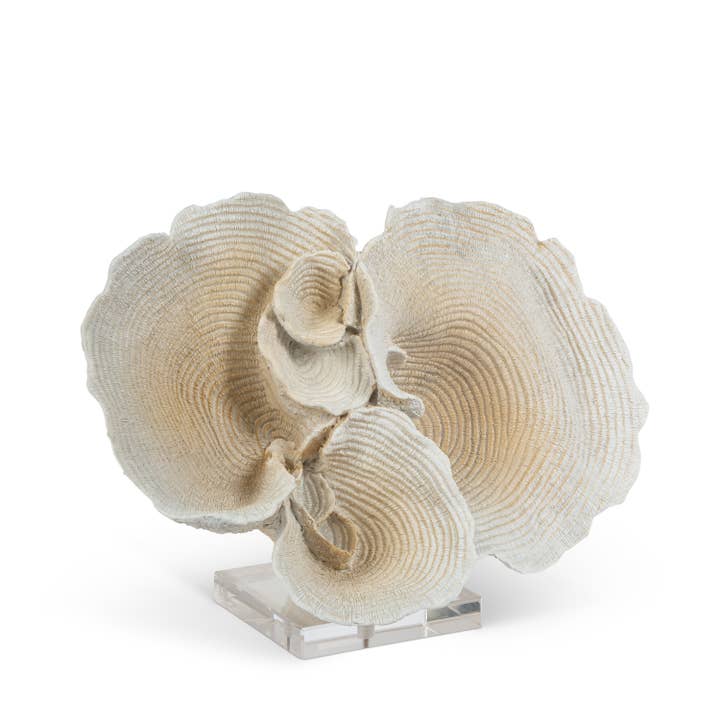 The Gerson Companies - Wholesale Decorative Tabletop Object - The Gerson Company 12.99"L H Resin Coral w/ Acrylic Base