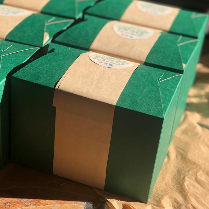 Living Arrangement - Wholesale DIY Craft Kit - Succulent Terrarium Kit Complete DIY8