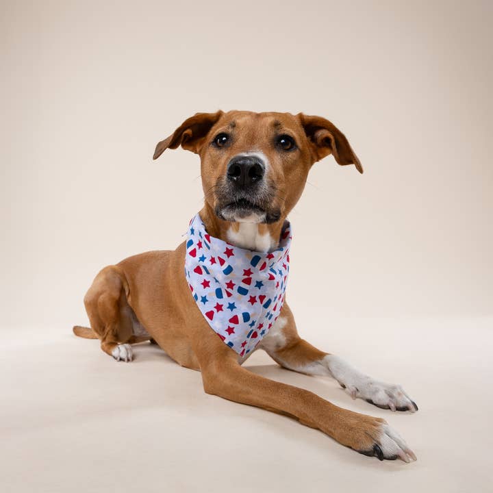 The Paws - Wholesale Pet Bandana - Dog - Pop Dog Bandana
